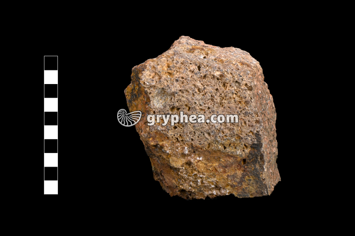 Rhyolite - échantillon (Esterel, France) - gryphea.com